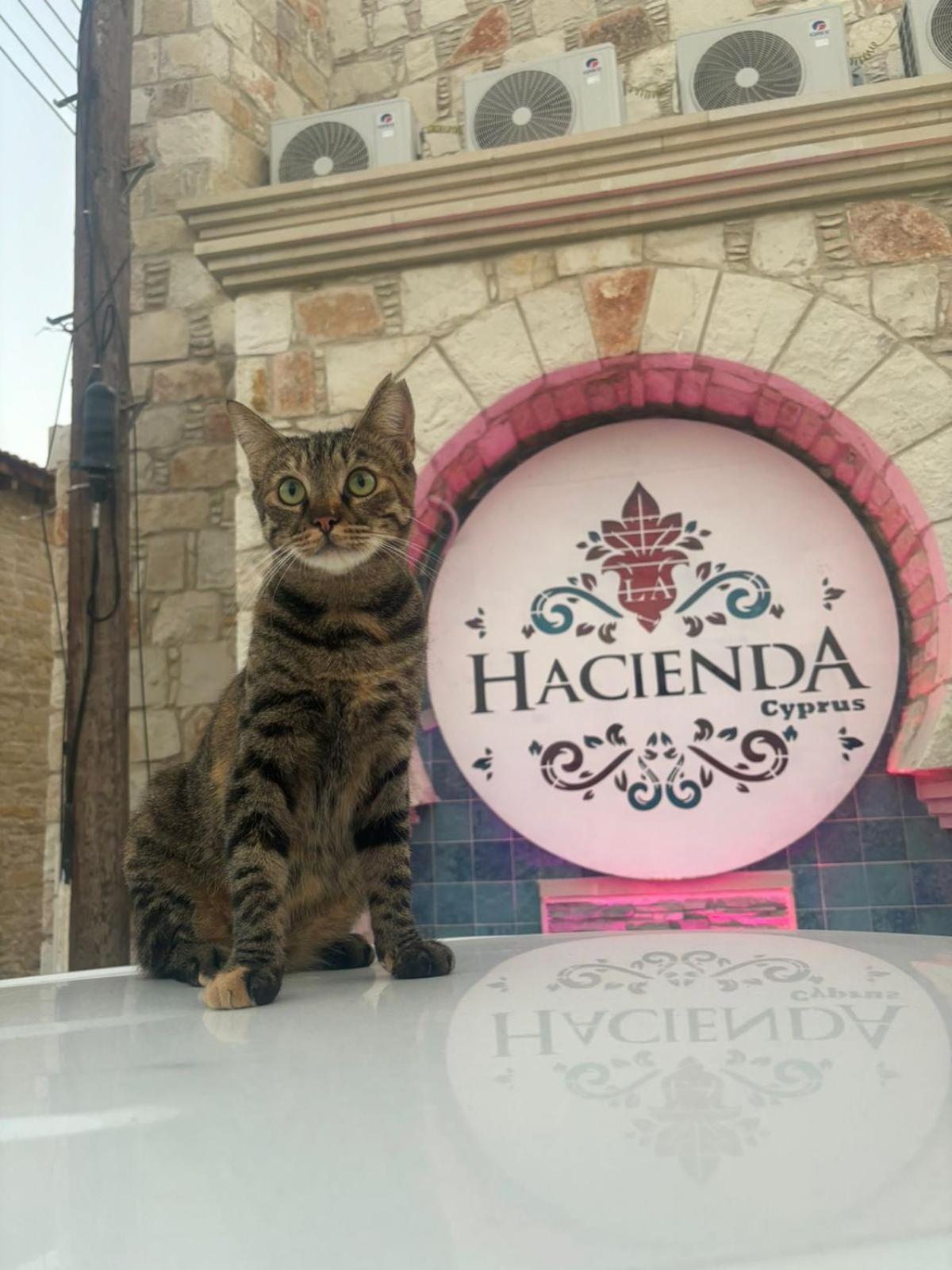 La Hacienda Cyprus Hotel Limassol Exterior foto